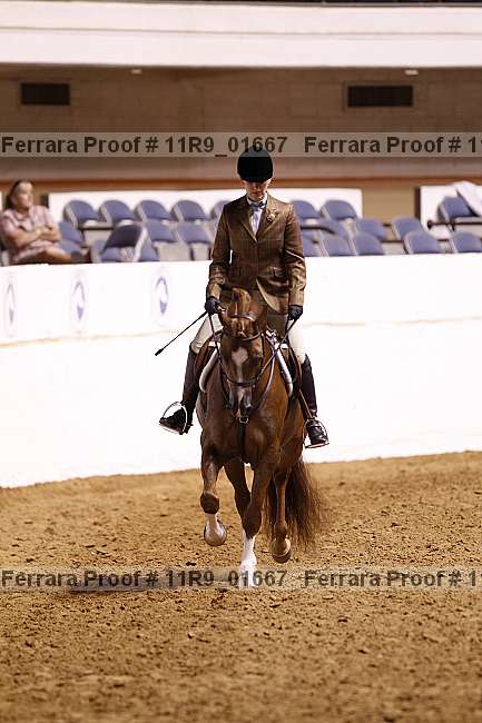 Proof 11r9_01667