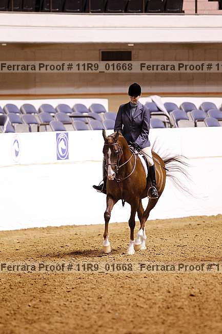 Proof 11r9_01668