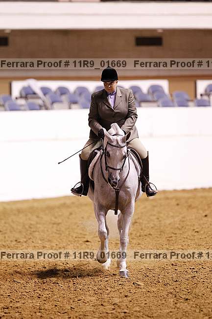 Proof 11r9_01669