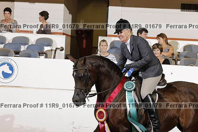 Proof 11r9_01679