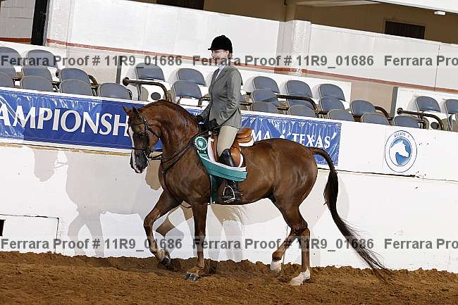 Proof 11r9_01686