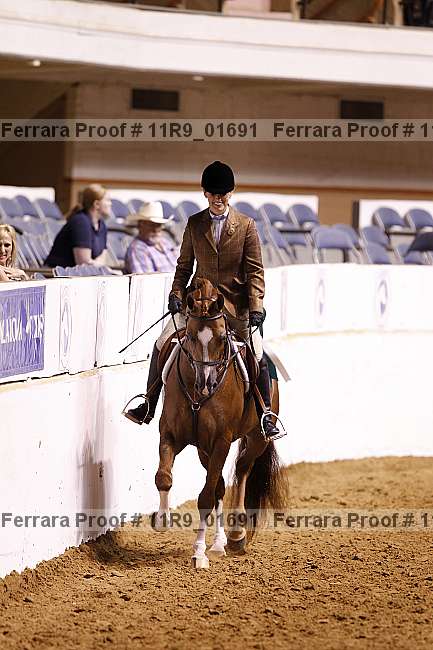 Proof 11r9_01691
