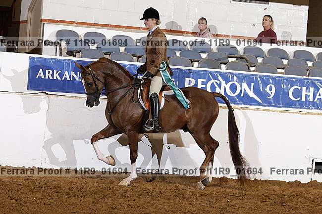 Proof 11r9_01694