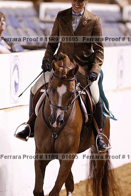 Proof 11r9_01695