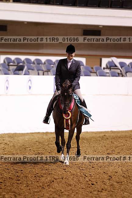 Proof 11r9_01696