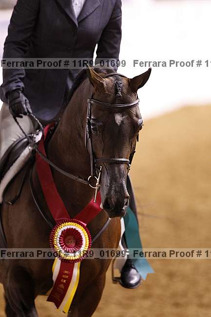 Proof 11r9_01699