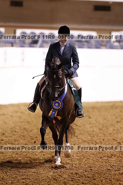 Proof 11r9_01700