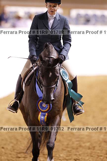 Proof 11r9_01702