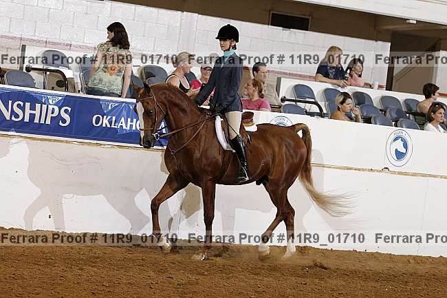 Proof 11r9_01710