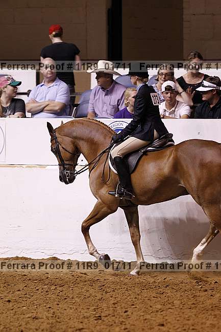 Proof 11r9_01711
