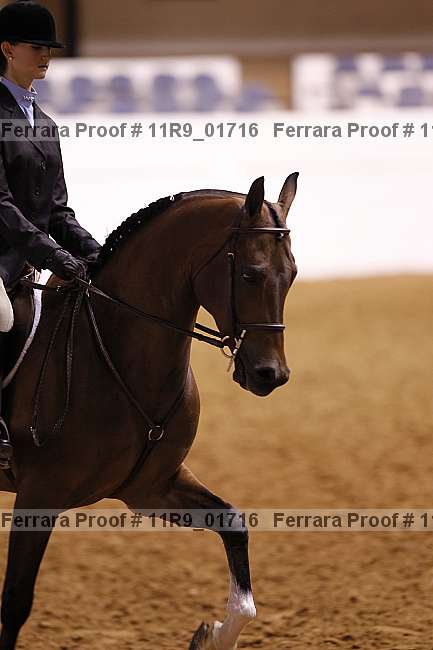 Proof 11r9_01716