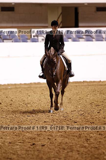 Proof 11r9_01718