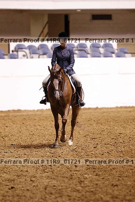 Proof 11r9_01721