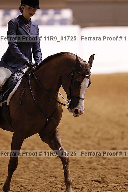 Proof 11r9_01725