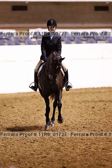 Proof 11r9_01727