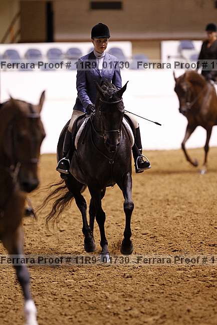Proof 11r9_01730