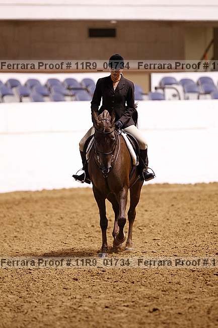 Proof 11r9_01734