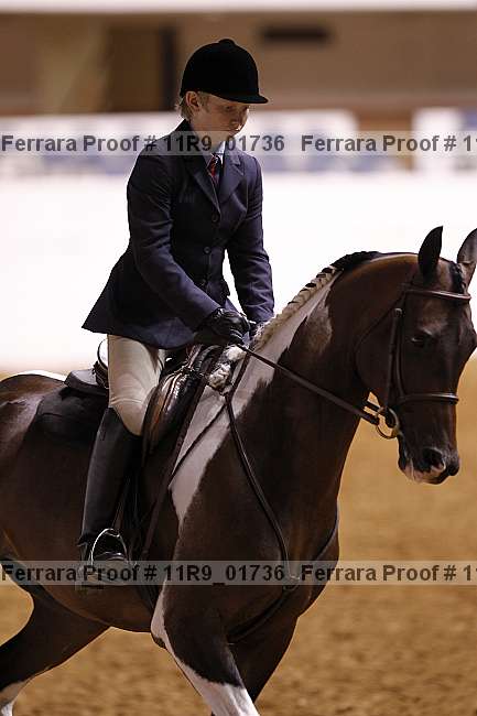 Proof 11r9_01736