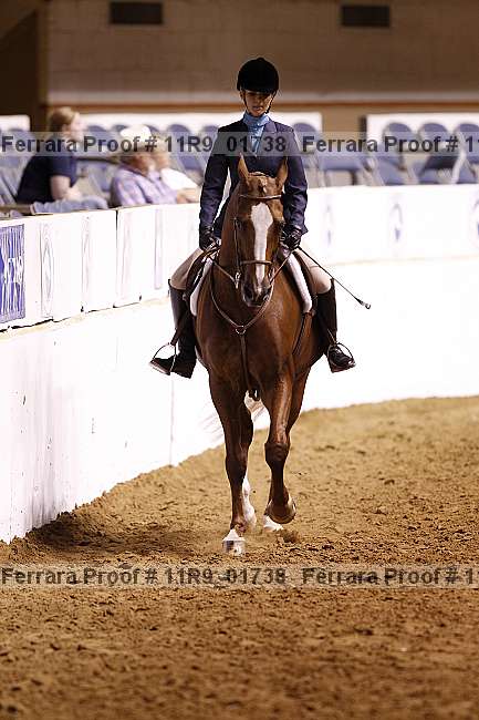 Proof 11r9_01738