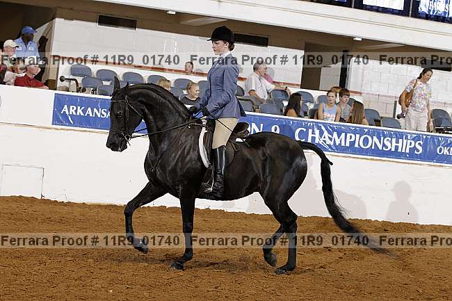 Proof 11r9_01740