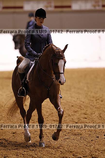 Proof 11r9_01742