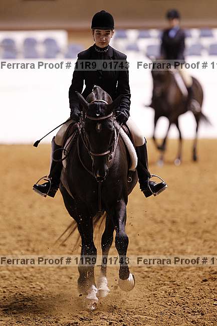 Proof 11r9_01743