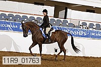 11r9_01763 proof