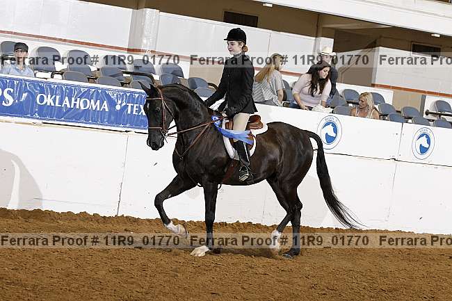 Proof 11r9_01770
