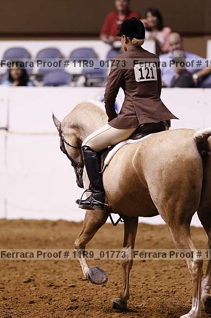 Proof 11r9_01773