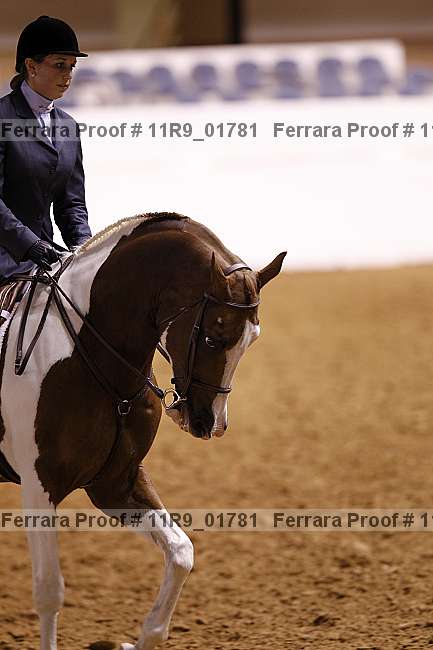 Proof 11r9_01781