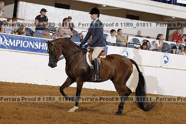 Proof 11r9_01811