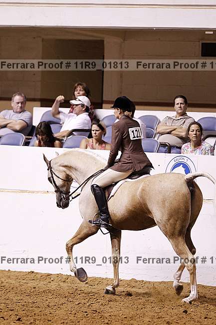 Proof 11r9_01813