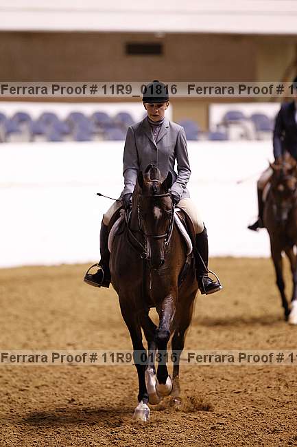 Proof 11r9_01816