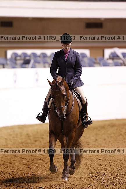 Proof 11r9_01833