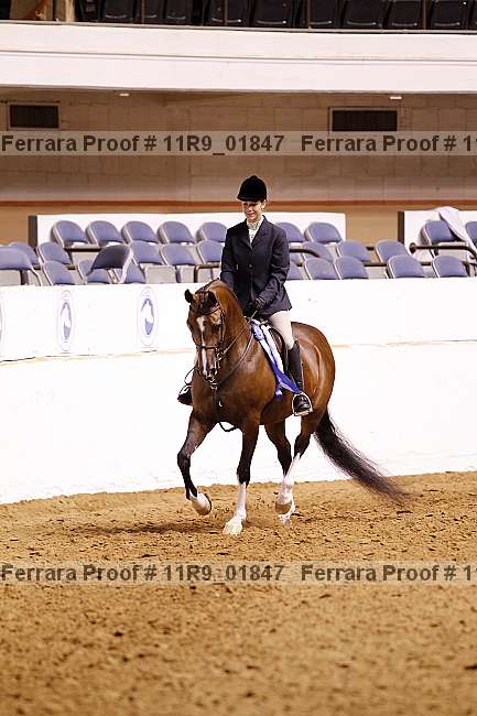 Proof 11r9_01847