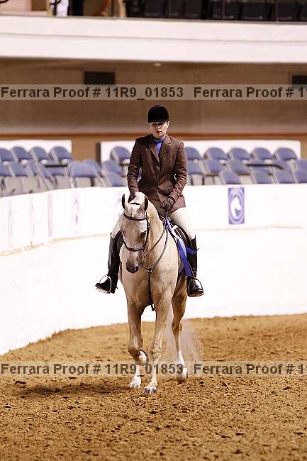 Proof 11r9_01853