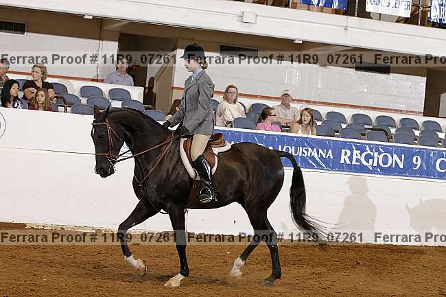 Proof 11r9_07261