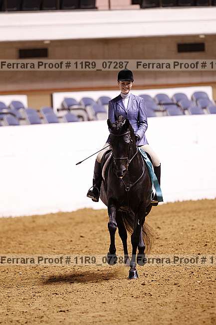 Proof 11r9_07287