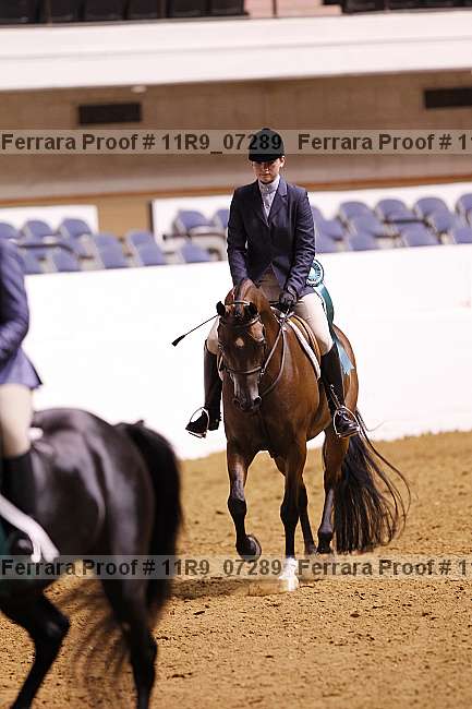 Proof 11r9_07289