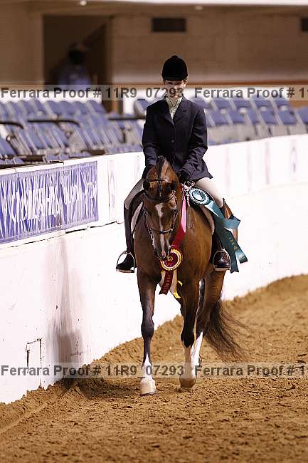 Proof 11r9_07293