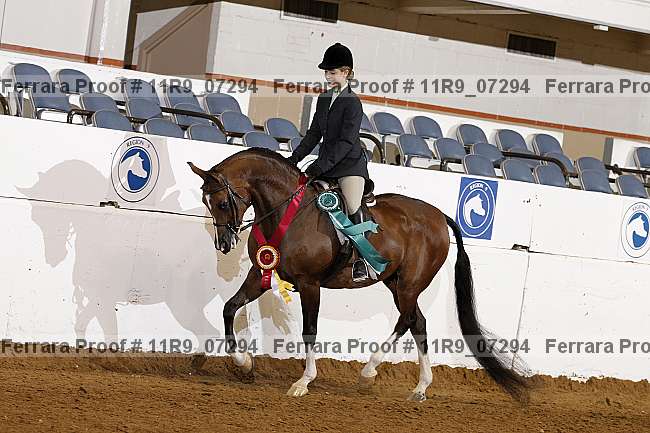 Proof 11r9_07294