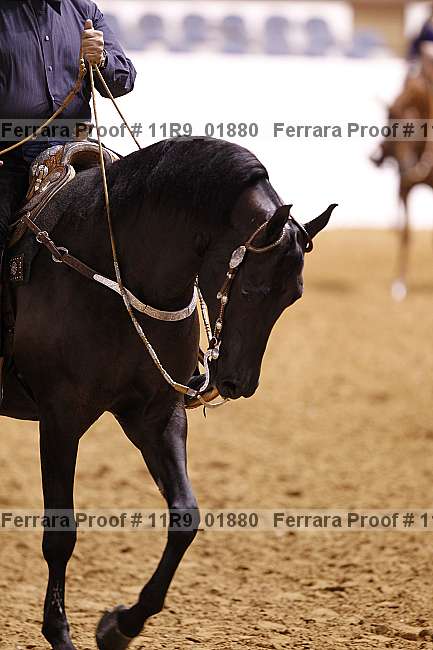 Proof 11r9_01880