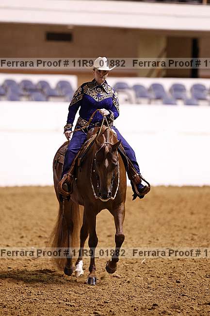 Proof 11r9_01882