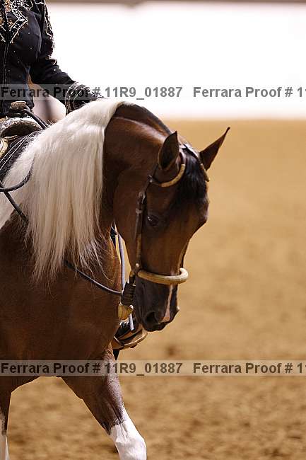 Proof 11r9_01887