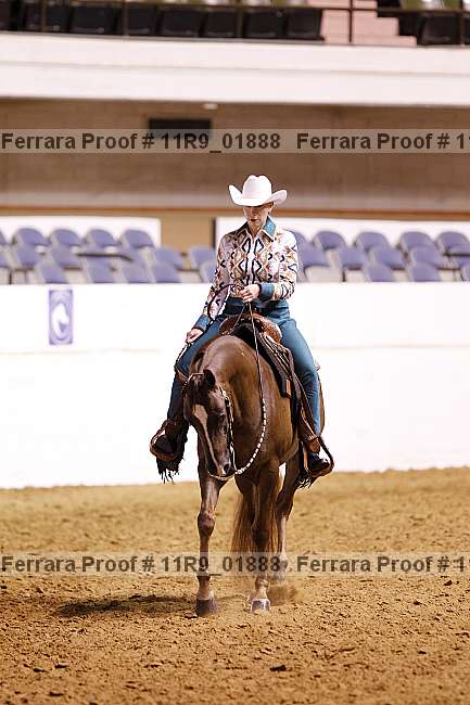 Proof 11r9_01888