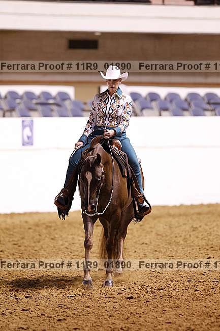 Proof 11r9_01890