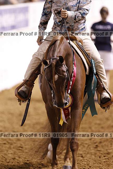 Proof 11r9_01905