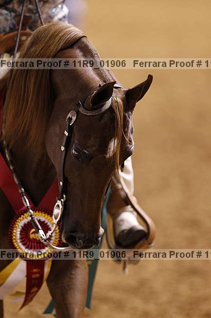 Proof 11r9_01906