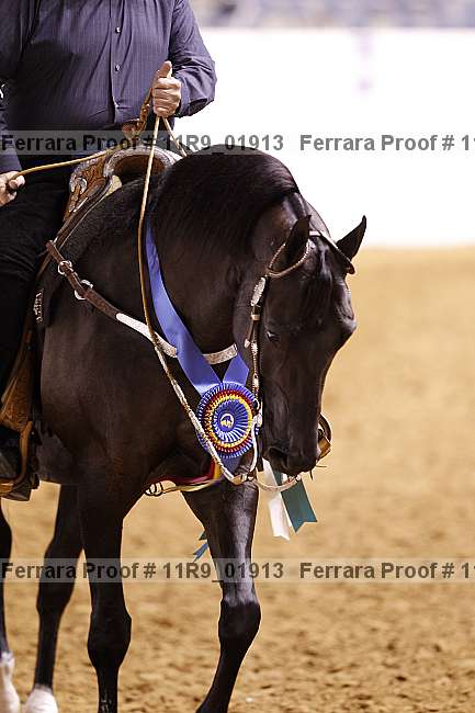Proof 11r9_01913