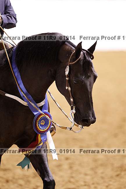 Proof 11r9_01914
